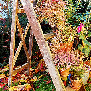 HaGarte Neustadt i. H.: Gartenarbeiten im Herbst